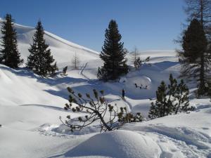 Pension Merisana durante l'inverno