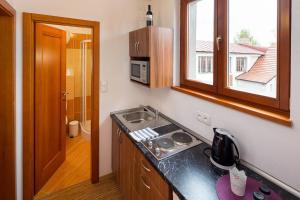 Kuchyň nebo kuchyňský kout v ubytování Apartmány Pod náměstím