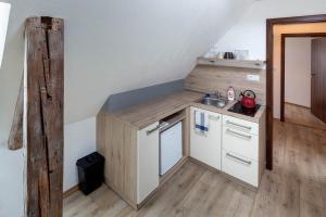 Kuchyň nebo kuchyňský kout v ubytování Apartmány Pod náměstím