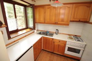 a kitchen with wooden cabinets and a sink at Holiday Home Winzerhaus Eva in Špičnik