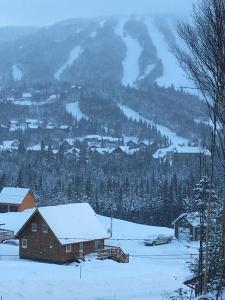 a house in the snow with a mountain in the background at Chalet du Versant Nord in Saint-David-de-Falardeau