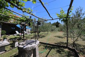 Zahrada ubytování House Vidak