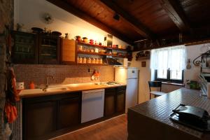 Kuchyň nebo kuchyňský kout v ubytování House Vidak