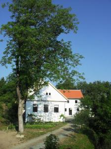 Eine weiße Scheune mit einem Baum davor. in der Unterkunft Alte Mühle Kaisersdorf in Kaisersdorf