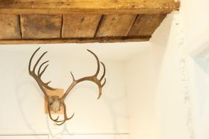 Fotografie z fotogalerie ubytování B&B Barvaux, Durbuy v destinaci Durbuy