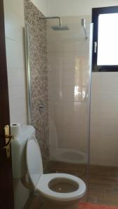 un bagno con wc e doccia in vetro di Apartment Kika a Ližnjan (Lisignano) Altre 16 foto