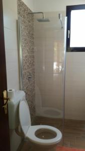 a bathroom with a toilet and a glass shower at Apartment Kika in Ližnjan