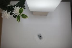 Fotografia z galérie ubytovania Apartaments Claudia v destinácii Reus
