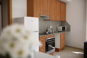 Kuchyňa alebo kuchynka v ubytovaní Apartaments Claudia