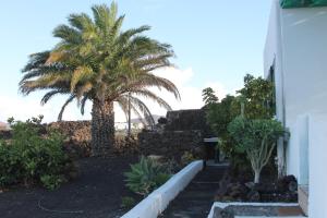 A garden outside Casa Andrés