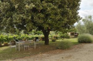 Zahrada ubytování Agriturismo Renai e Monte II