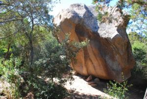 a large rock in the middle of a forest at Residence Ribellinu in Pianottoli-Caldarello