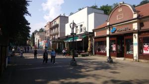 a group of people walking down a city street at Apartmani LolaNola in Vrnjačka Banja +12 photos