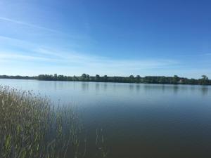 a large body of water with trees in the background at AlleGorło in Stare Juchy