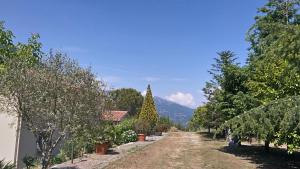 a dirt road with trees and a mountain in the background at Agriturismo Collevento in Trecchina