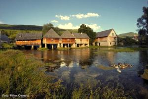 a group of ducks swimming in a river with houses at Vila Julija - Apartment & rooms in Otočac