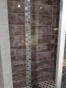 La salle de bains est pourvue d'une douche avec une porte en verre. dans l'établissement L'Ecrin du Lac, à Saint-Point-Lac