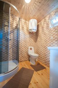 a bathroom with a shower and a toilet in a room at Poilsiavietė Elnias in Šventoji