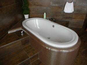
Een badkamer bij Hotel Zelený Strom
