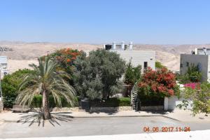 a house with a palm tree and flowers in front at Nof Canaan in Kfar Adumim