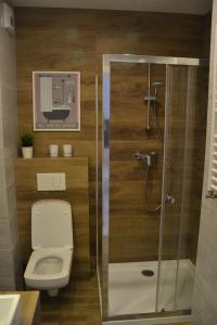 ジブヌベクにあるApartament Lesny Zakatekのバスルーム(トイレ、ガラス張りのシャワーブース付)
