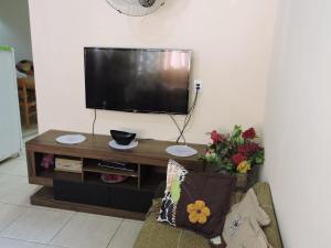 sala de estar con TV de pantalla plana y sofá en Casa temporada 2 quartos, en São Thomé das Letras