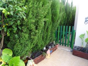 Zdjęcie z galerii obiektu Chalet Mirador de los Balcones w mieście Torrevieja