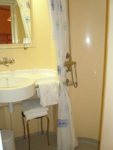 een badkamer met een wastafel en een douchegordijn bij Hotel des Alpes in Brides-les-Bains