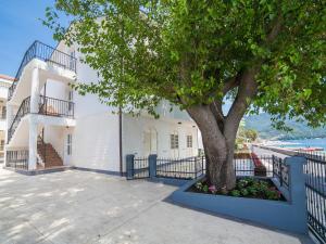 a tree in a blue planter next to a building at Apartments Balbo in Bijela