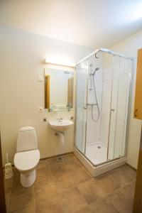 a bathroom with a shower and a toilet and a sink at Hótel Laugar in Laugar