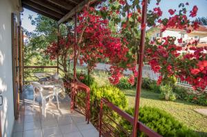 un patio con flores rosas y una valla en Demetra, en Mitikas