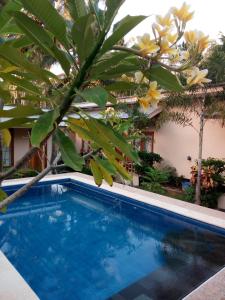 a swimming pool in front of a house with a tree at Santai Retreat in Kuta Lombok
