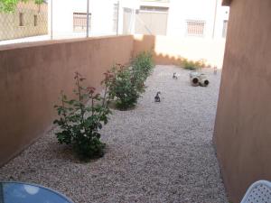 a courtyard with some plants and a wall at Hostal Sol de la Vega in Albarracín