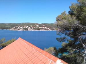 an orange roofed house with a view of a lake at Apartment More Sumartin in Sumartin