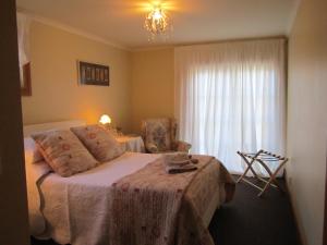 a bedroom with a bed and a chair and a window at Magnolia Cottage in Christchurch