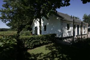 une vieille maison blanche avec un arbre dans la cour dans l'établissement Vakantiehuis NamaStee, à Schoonloo