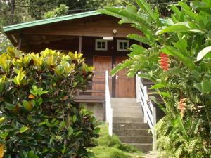 Cabaña de madera con escaleras que conducen a una puerta en Forres Park Nature Retreat en Mavis Bank