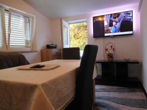 TV a/nebo společenská místnost v ubytování Apartments Ivancevic