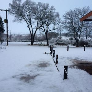 a field covered in snow with trees in the background at Molweni - Kamberg Valley B&B in Kamberg Valley