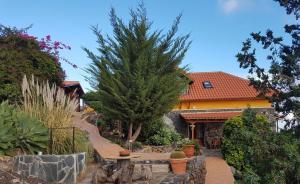 Tejina de Isora的住宿－ViVaTenerife - Retreat in nature, SPA and wellness，前面有一棵树的房子