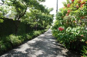 Κήπος έξω από το The Gardens