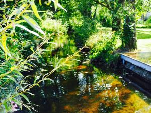 a stream of water with a bench in a park at Scherfsmühle am Mühlbach in Waldrach