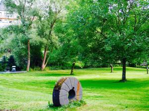 a tire in the grass in a park at Scherfsmühle am Mühlbach in Waldrach