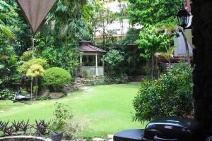 a garden with a tree and a house at New Manila Suites in Manila