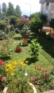 Сад в Casa Anna