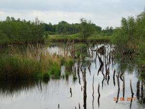 Zdjęcie z galerii obiektu Stichting Veenloopcentrum Weiteveen w mieście Weiteveen