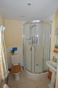 a bathroom with a shower and a toilet and a sink at Town End Farm Cottages in Taunton +12 photos