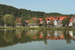 Příroda nedaleko hotelu
