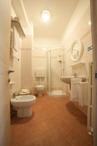 W łazience znajduje się prysznic, toaleta i umywalka. w obiekcie Hotel Villa Orizzonte w mieście Malcesine