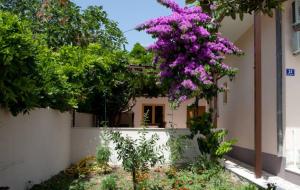 a tree with purple flowers in front of a building at Apartments Beautiful Sandy Beach in Split
